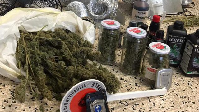 Battipaglia, coltivazione di cannabis: arrestato 36enne