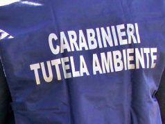 Albanella, traffico di rifiuti sequestrati 3,5 milioni di euro NOE CARABINIERI: TRAFFICO ILLECITO DI RIFIUTI