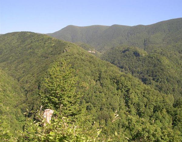 monte Polveracchio
