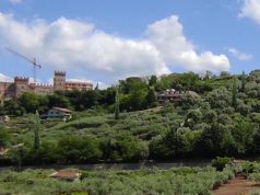 Battipaglia, alberi a rischio crollo: parte la verifica