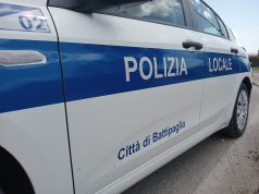 Battipaglia, chiuso asilo abusivo per cani abusivo