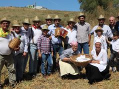 Festa della Civiltà Contadina e della Trebbiatura di Carretiello, quest’anno dal 29 luglio al 2 agosto
