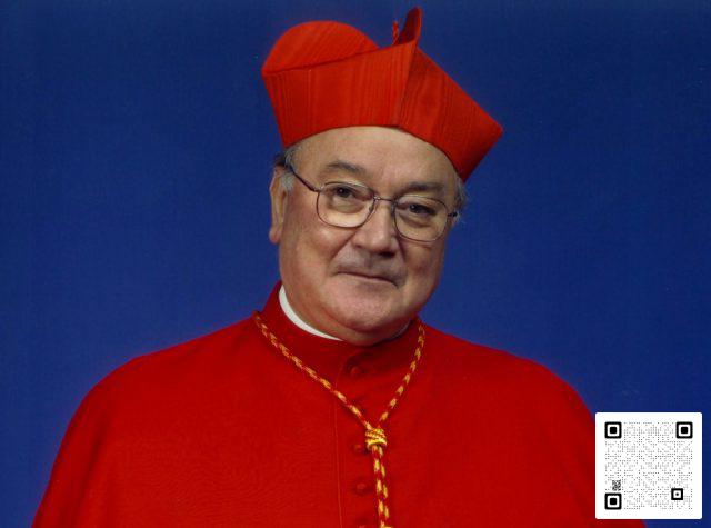 Cardinale-Raffaele-Martino