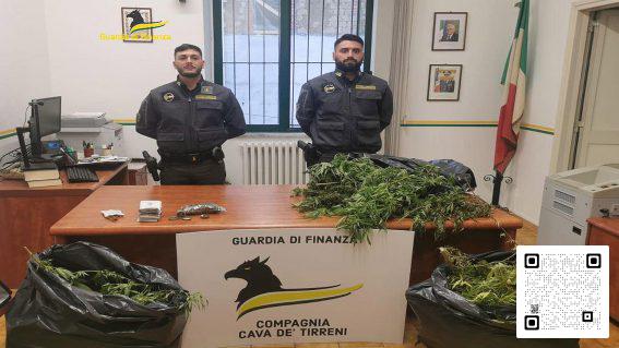 cannabis arresto cava
