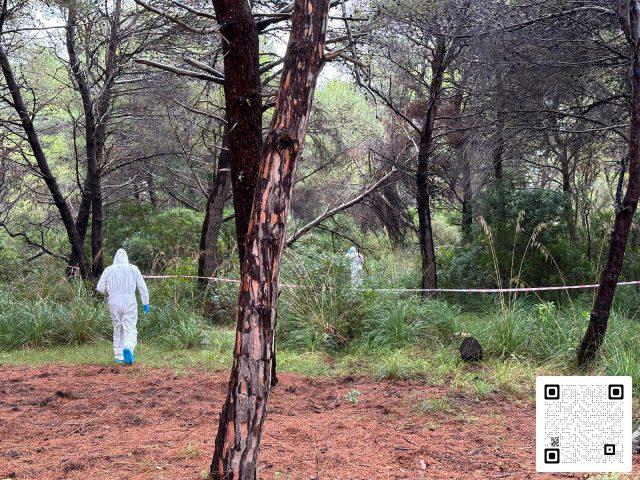 castellabate indagini nowak