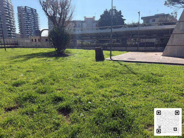 salerno alberi tagliati