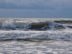 Battipaglia, qualità del mare: confronto Asis associazioni