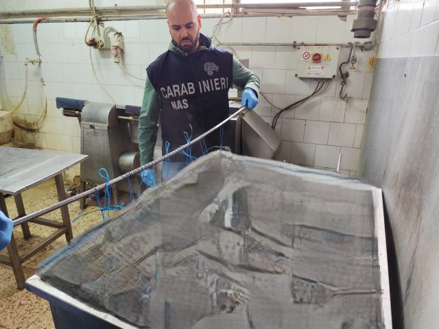 pagani stabilimento sequestrato carne