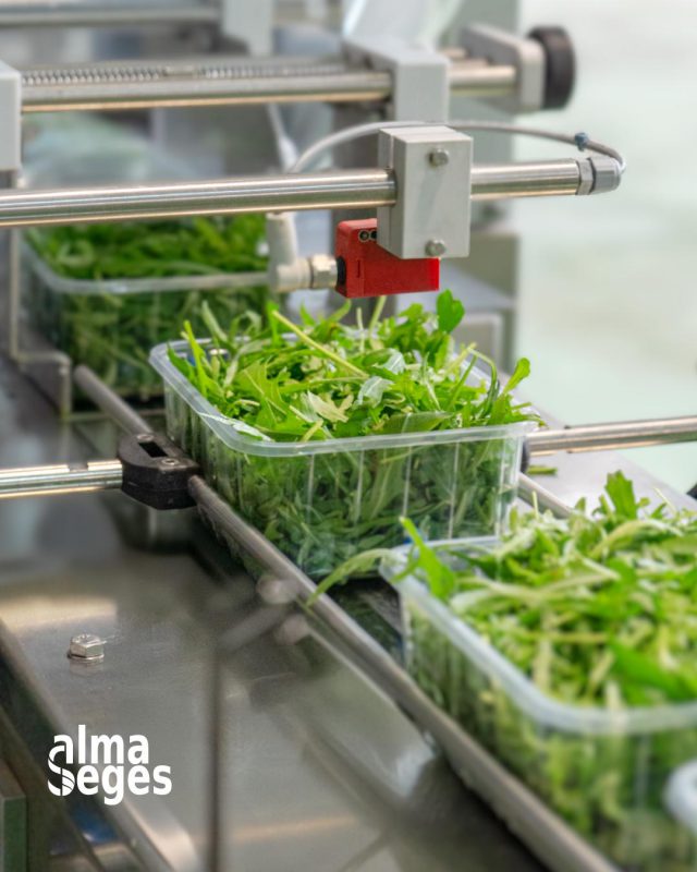 490978646_1293949362278406_1687577255485266877_n