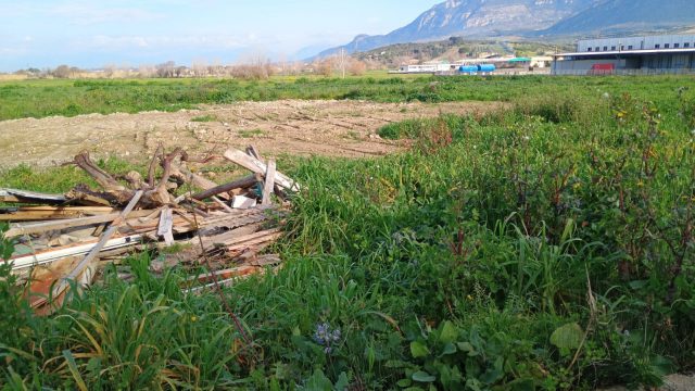 ogliastro luogo impianto