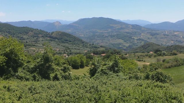 Boschi valle del Sele