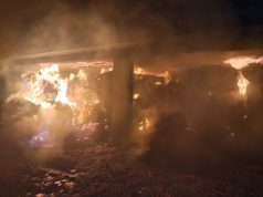 Padula, fienile distrutto dalle fiamme