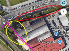 Salerno, appello di Vola per salvare colonia felina