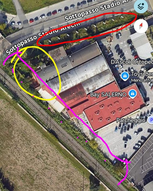 Salerno, colonia felina