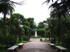 Salerno, bimba aggredita alla testa da un pitbull