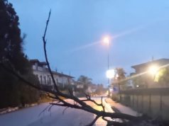 Eboli, albero crolla sulla SS19 in zona Epitaffio