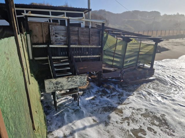 WhatsApp Image 2026-02-13 at 12.41.26