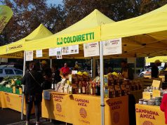 Mercato Campagna Amica, sfida tra giornalisti e avvocati