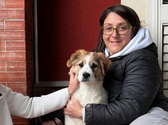 Eboli, randagismo: chiude Casa Hope