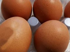 Montecorvino Rovella, uova ritirate per rischio salmonella