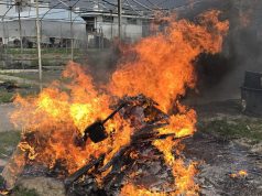 Eboli, brucia rifiuti plastici: colto in flagrante