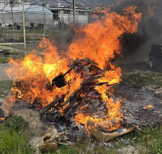 WhatsApp Image 2026-03-26 at 16.56.33