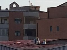 Battipaglia, preoccupazione dei cittadini per la rimozione dell’amianto