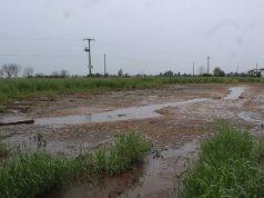Capaccio Paestum: sequestrata azienda zootecnica per gravi illeciti ambientali
