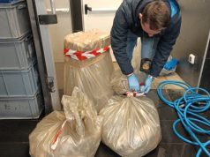 Pesca illegale e rischi sanitari: controlli a Salerno