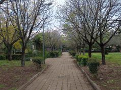 Battipaglia, villa comunale a Taverna: occorre più manutenzione