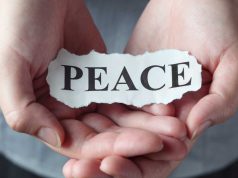 Presidio e flashmob oggi a Paestum contro la presenza del generale israeliano Ofer Winter