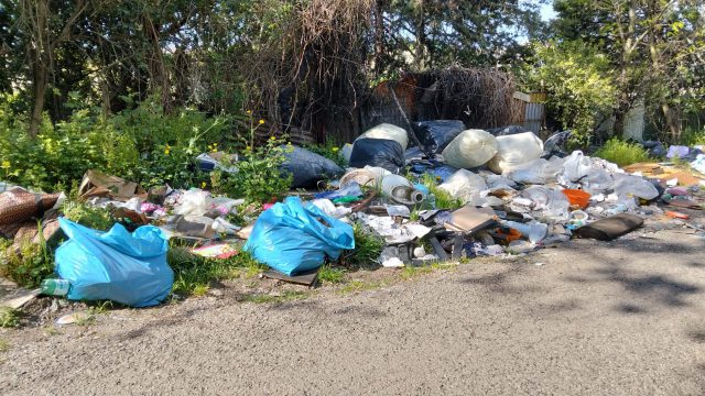 WhatsApp Image 2026-04-10 at 12.48.54