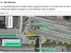 Battipaglia, inizia con la piantumazione di 9 alberi di Jacaranda