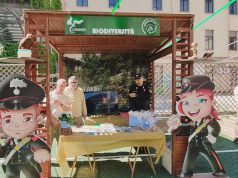 Salerno, l’albero di Falcone