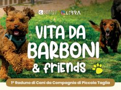 “Vita da Barboni & Friends”: il grande raduno dedicato ai cani da compagnia di piccola taglia
