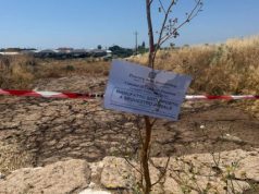 Capaccio Paestum, concimaia sequestrata: due denunce