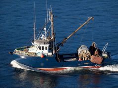 Nasce l’Associazione Italiana Coltivatori Pesca Salerno