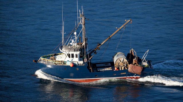 Barca da pesca