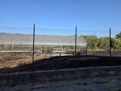 Battipaglia, terreno in fiamme: D’Acampora chiede le dimissioni della sindaca