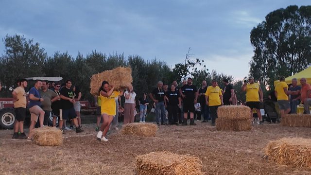 Carretiello Palio del Grano
