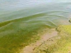 Eboli- Battipaglia, mare torbido: nuovo sversamento?