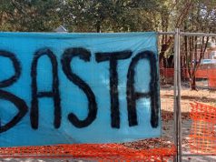 Eboli, alberi abbattuti in piazza “Levi”: la protesta