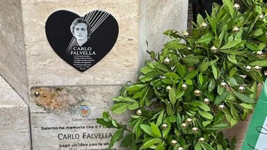 carlo falvella