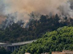 Salerno, incendio sul Monte San Liberatore