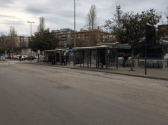 Salerno, albero abbattuto in via Vinciprova
