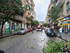 Nubifragio a Salerno, alberi abbattuti e forte grandinata: disagi in provincia