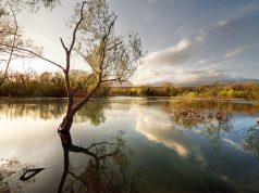 Una petizione per salvare l’Oasi Wwf di Persano
