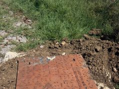Capaccio Paestum, sequestro in un’azienda zootecnica