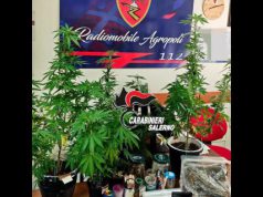 Agropoli, arrestato 23enne