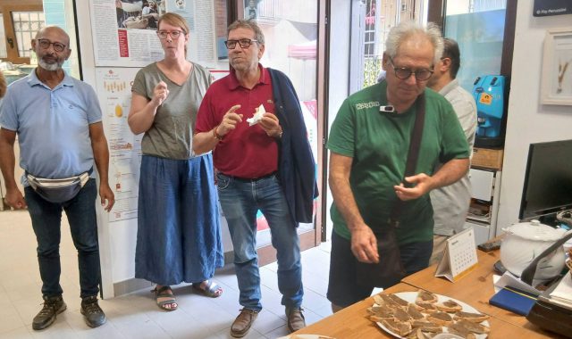 Eboli Morniroli al Forno di Vincenzo- Borgo Solidale